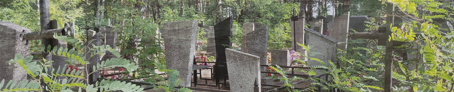 Выскатское кладбище Сланцевского района в   Ленинградской области