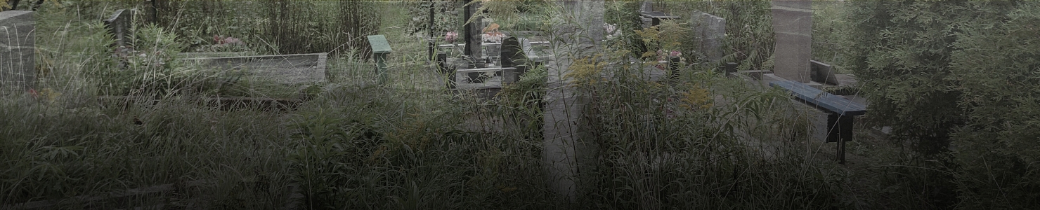 Кладбище деревни Сижно Сланцевского района в   Ленинградской области
