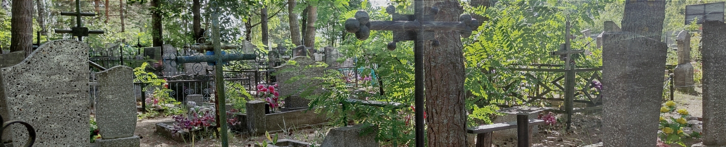 Кладбище Выбье Кингисеппского района в   Ленинградской области