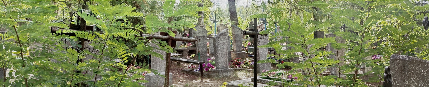 Кладбище деревни Березовик Киришского района в   Ленинградской области