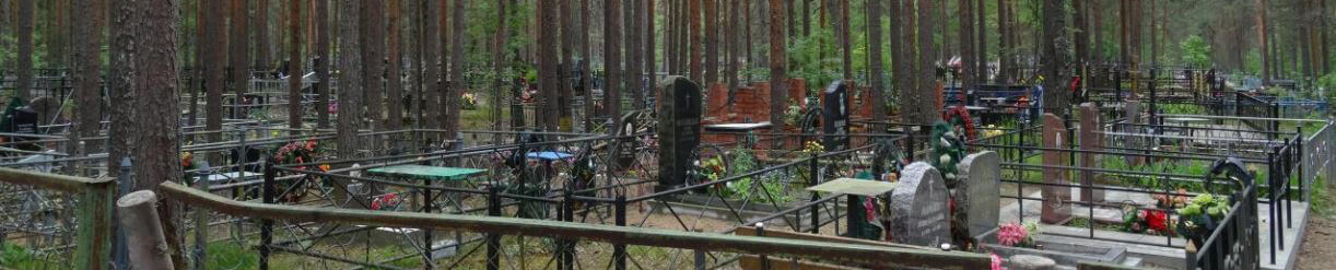 Устьинское кладбище в г. Сосновый Бор Ленинградской области
