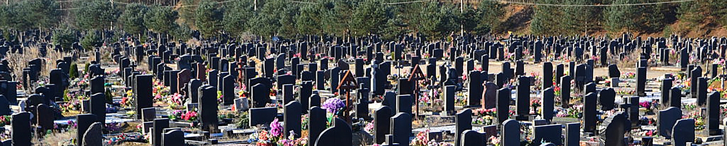 Кузьмоловское кладбище в г. п. Кузьмоловский Ленинградской области