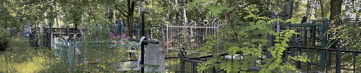 Кладбище деревни Пески Волховского района в   Ленинградской области