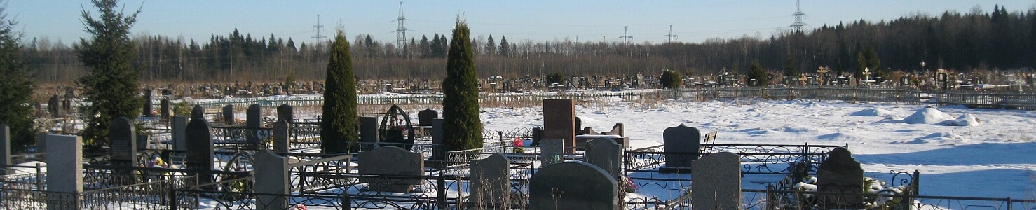 Пижменское кладбище в г. Гатчина Ленинградской области