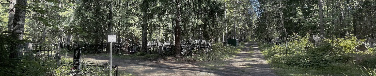 Старое кладбище г. Лодейное поле в   Ленинградской области
