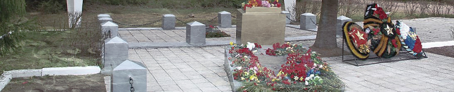 Кладбище в посёлке Ольшаники Ленинградской области