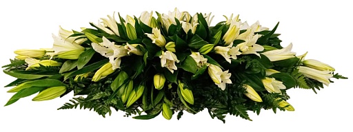 Композиция из живых цветов на гроб (1 м) ВЖФ.1.6