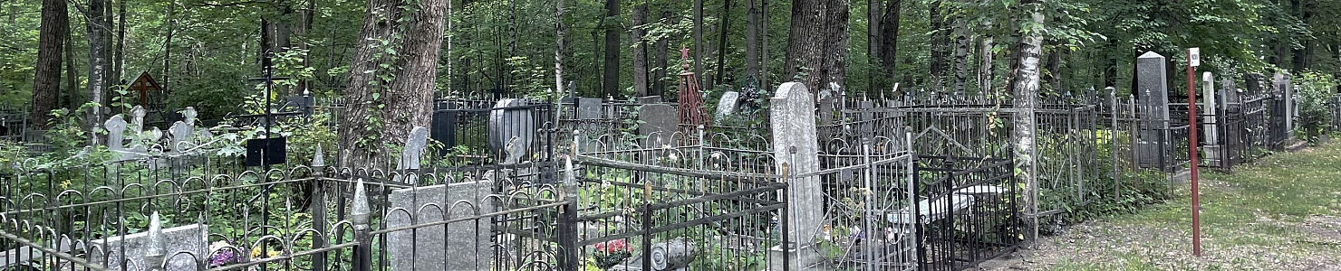 Рахьинское кладбище в посёлке Рахья Ленинградской области