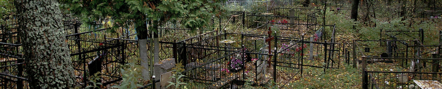 Кладбище села Сомино Бокситогорского района в   Ленинградской области