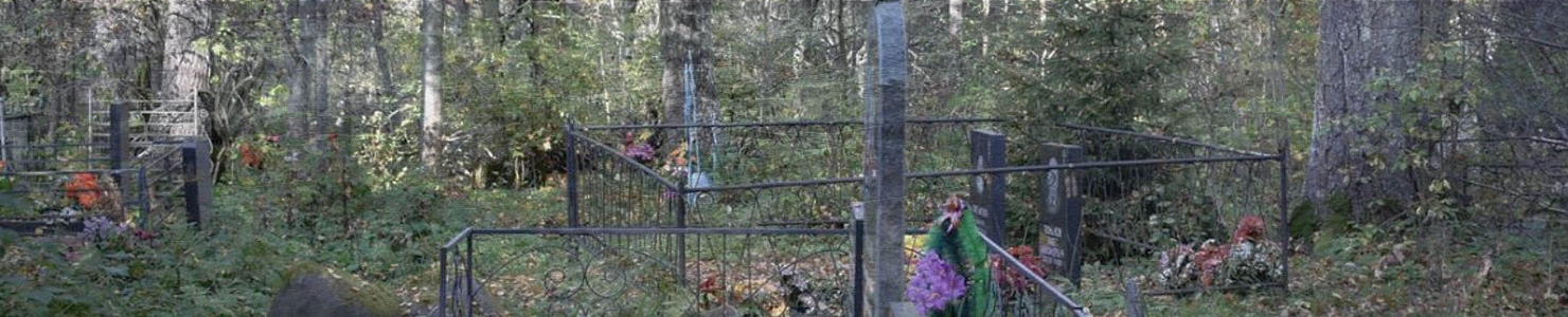 Кладбище деревни Загубье Волховского района в   Ленинградской области