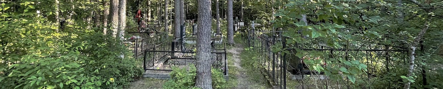 Кладбище в посёлке Ильичёво Ленинградской области