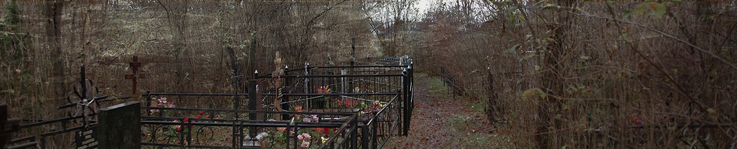 Клопицкое кладбище Волосовского района в   Ленинградской области
