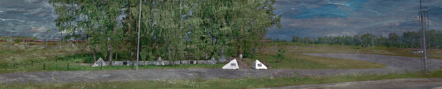 Кладбище в г. п. Новоселье в Ленинградской области