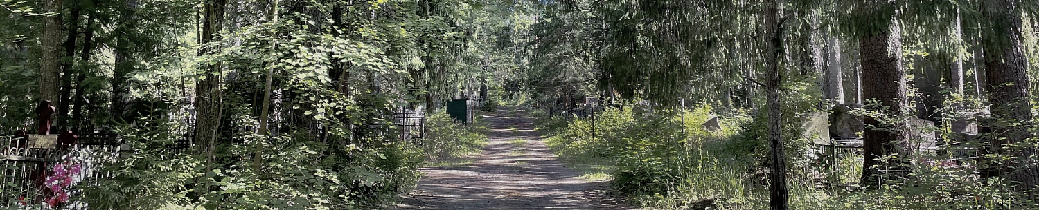 Никольское городское кладбище в   Ленинградской области