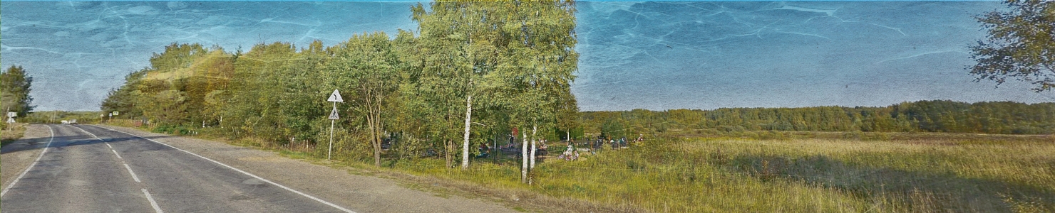 Кладбище деревни Бор Киришского района в   Ленинградской области