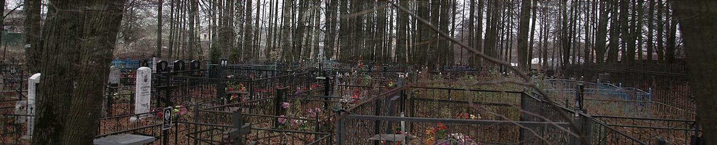 Заборское кладбище Бокситогорского района в   Ленинградской области