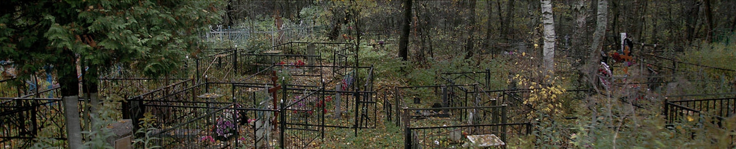 Кладбище поселка Ефимовский Бокситогорского района в   Ленинградской области