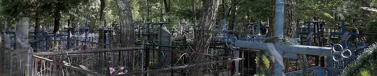 Кладбище деревни Реполка Волосовского района в   Ленинградской области