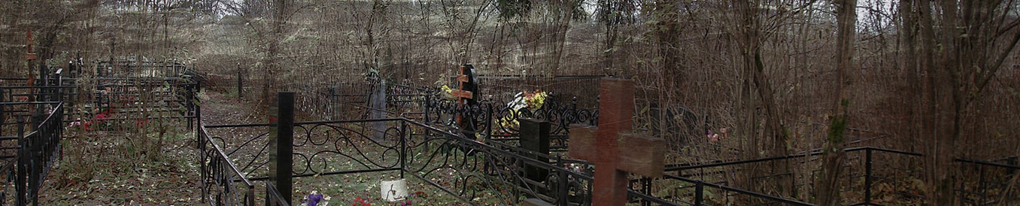 Новое кладбище п. г. т. Важины в   Ленинградской области