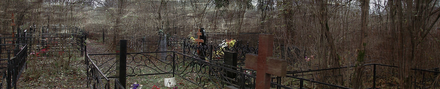 Новое кладбище п. г. т. Важины в   Ленинградской области
