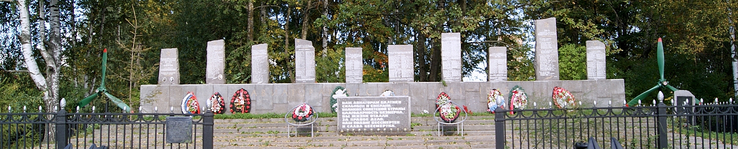 Муринское кладбище в г.п. Мурино Ленинградской области