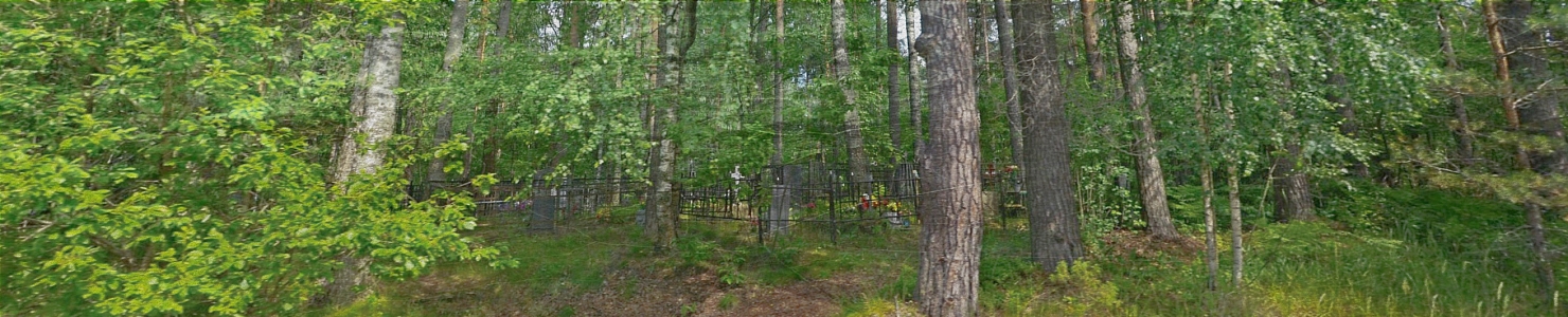 Борисовское кладбище Приозерского района в   Ленинградской области