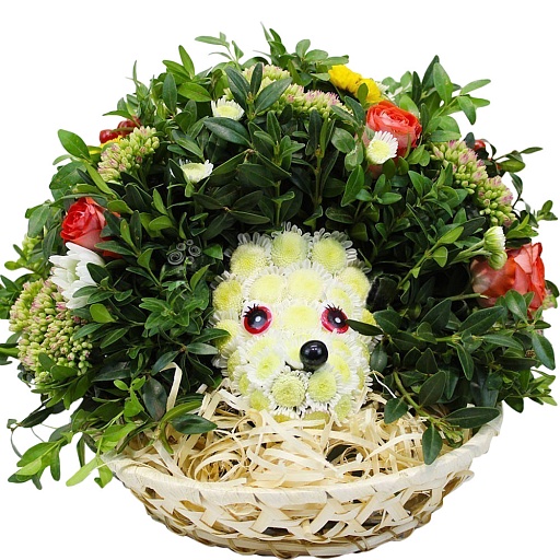 Корзина ритуальная из живых цветов «Ёжик» (КЖ‑2)