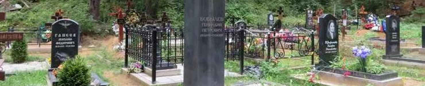 Токсовское кладбище в г.п. Токсово Ленинградской области