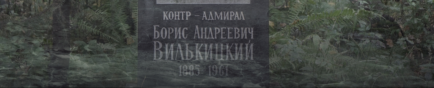 Захоронение Вилькицких на Смоленском кладбище