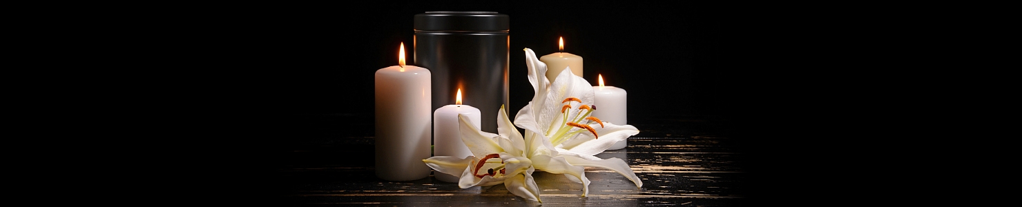 СПБ ГУП Ритуальные услуги – цены на кремацию и справки архива захоронений