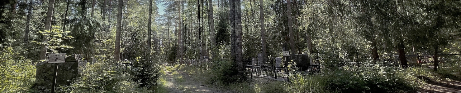 Лесное кладбище в г. п. Мга в   Ленинградской области