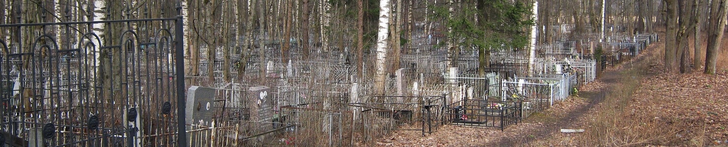 Мартышкинское кладбище в Санкт-Петербурге