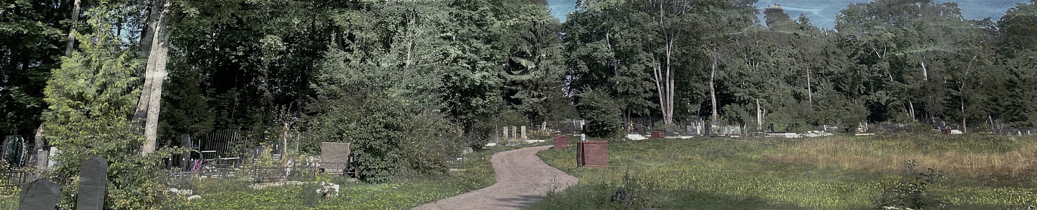 Сенновское кладбище в   Ленинградской области